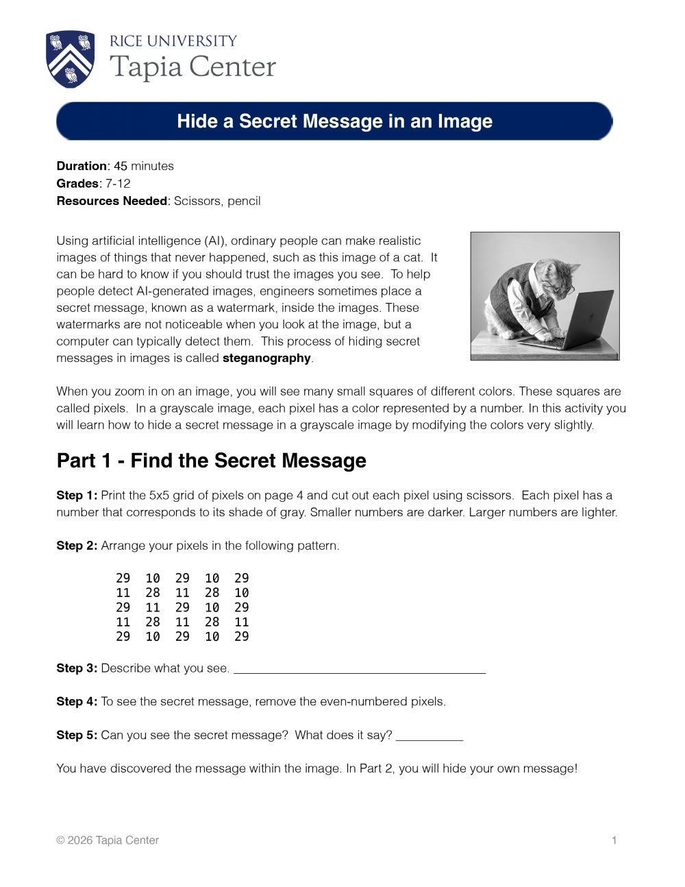 First page of Steganography activity